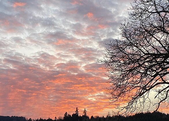 Rote Schäfchenwolken über dem Wüschiswiler Wald