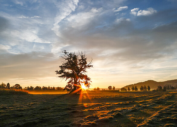 Sonnenaufgang über dem Wauwilermoos