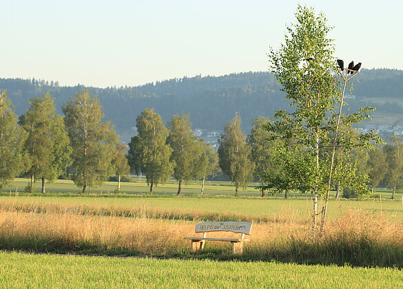 Ruhepla(ä)tze