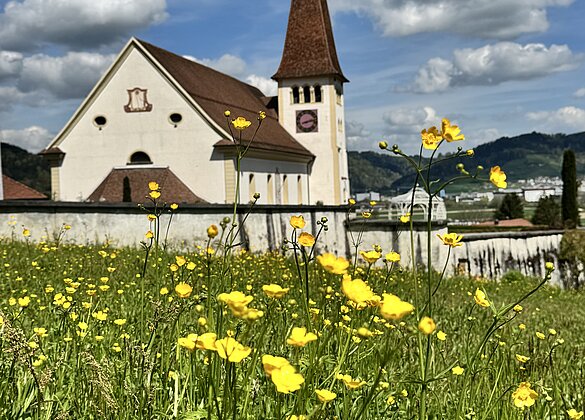 Ankeblüemli mit Kirche Altishofen im Sonnenschein