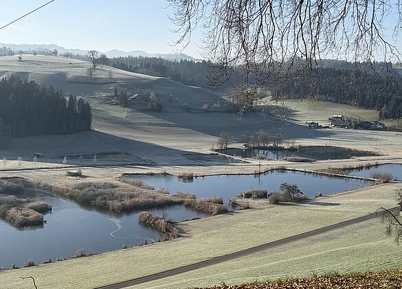 Traumhafter Morgenspaziergang 