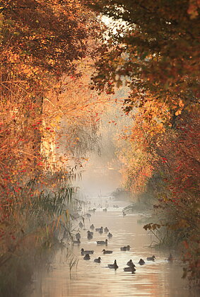Die Vollmondnacht wurde zum Tag