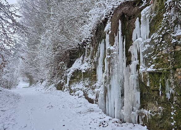 Winterliche Landschaft