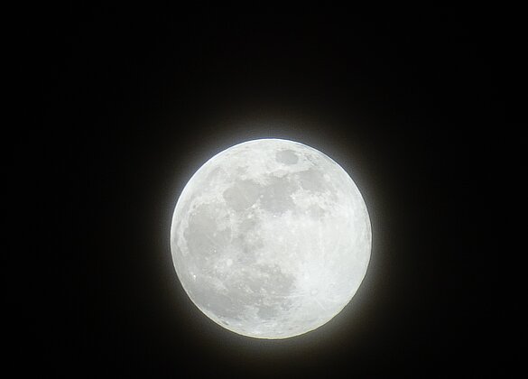 Vollmond 1. Februar 2026