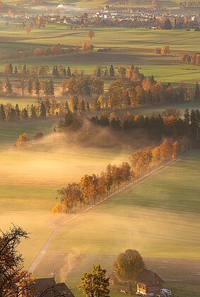 Herbstfarben in der Wauwiler Ebene