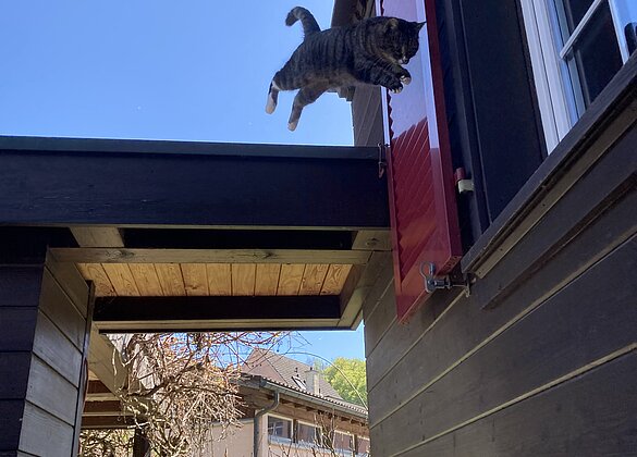 Ein Schnappschuss als ich das Haus verliess.