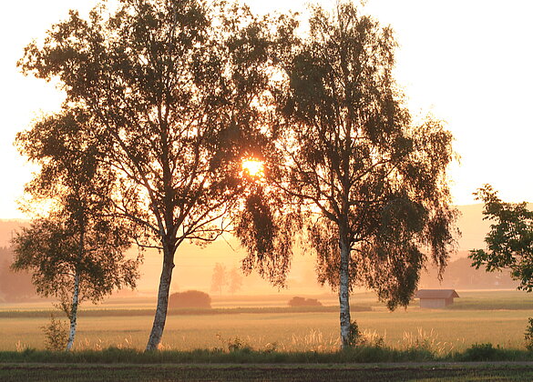 Farben bei Sonnenaufgang