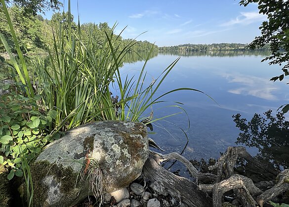 Am Soppensee