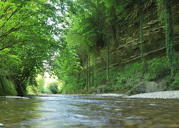 Abkühlung an derLuther