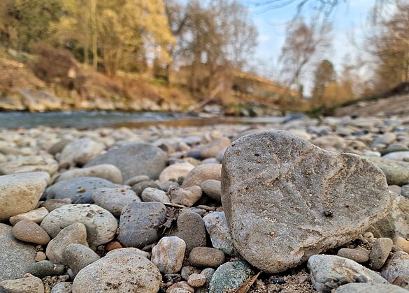 Ruhig fliesst die Wigger durch die Abenddämmerung.