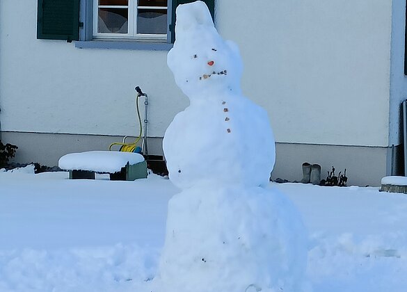 Schneemann! Wie lange hälst du durch?