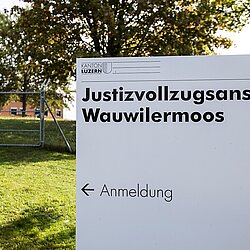 160689_160691.jpeg