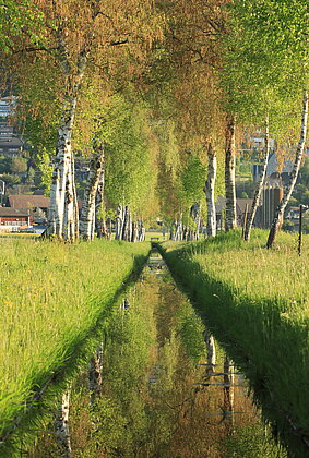 Spieglein Spieglein.....