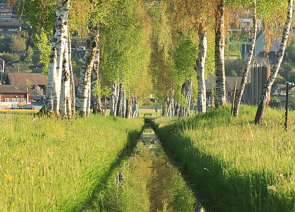 Spieglein Spieglein.....