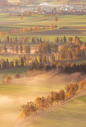 Herbstfarben in der Wauwiler Ebene
