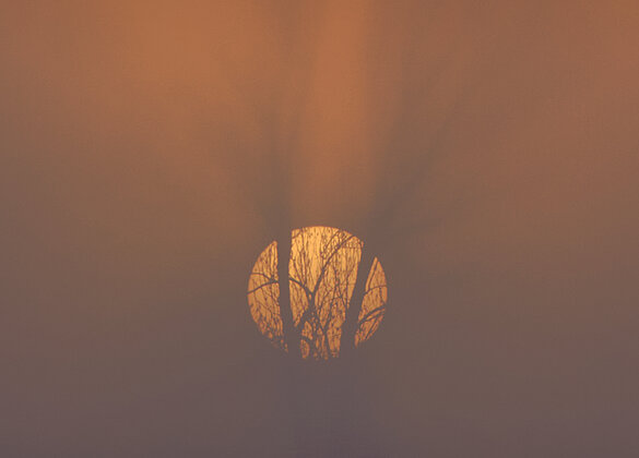 Das erste Sonnenlicht durch den Nebel