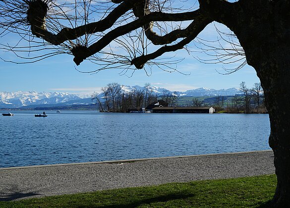 Frühlingsstimmung am Sempachersee