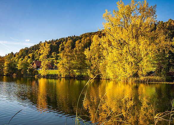 Herbstzauber am Egolzwilersee!