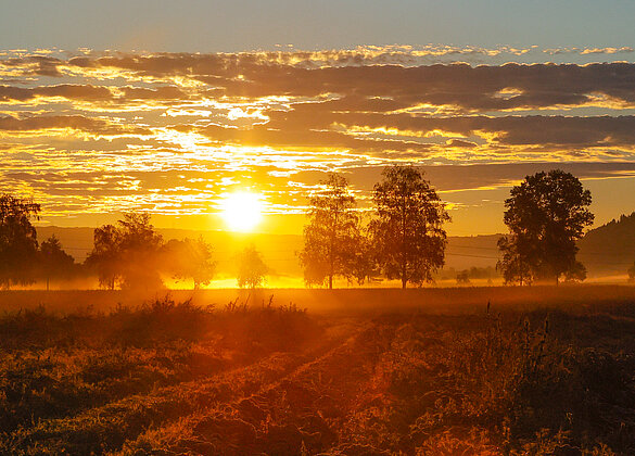 Feuriger Sonnenaufgang