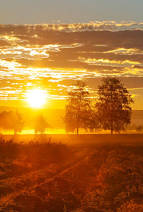 Feuriger Sonnenaufgang