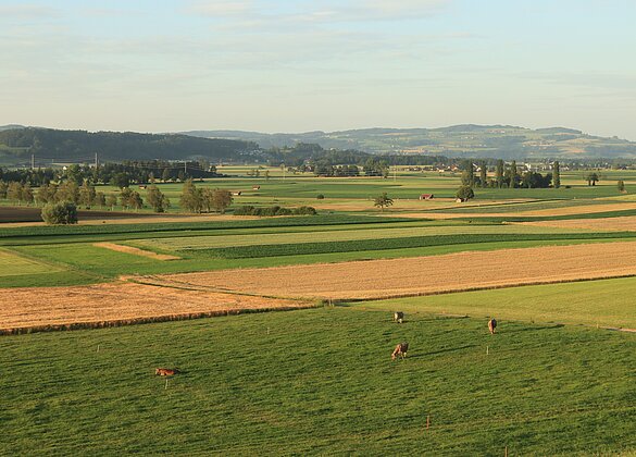 Friedliche Abendstimmung über der Wauwiler Ebene