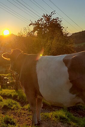 Lorina bestaunt den Sonnenaufgang über Willisau.