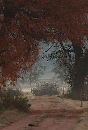 Die Vollmondnacht wird zum Tag