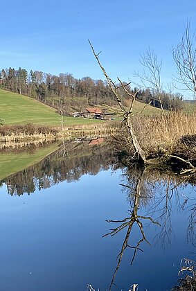 Herbstwanderung im Dezember
