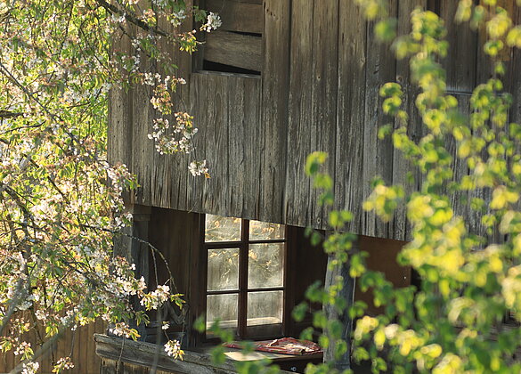 Ein altes Bauernhaus