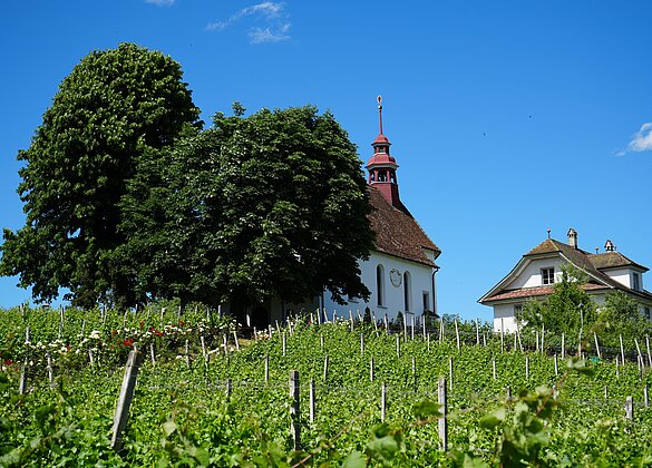 Mariazell Sursee