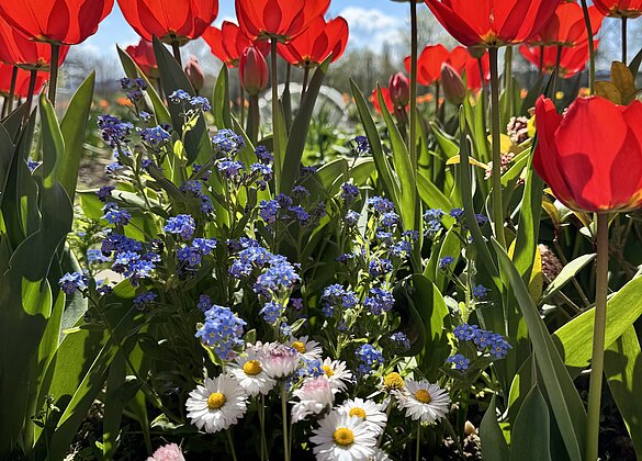Herrlicher,bunter Frühlingstag!