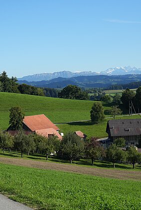 Ob der Bründlen in Zell mit Blick auf die Berner Alpen