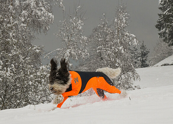 Jady vom Seilihus im Winterglück