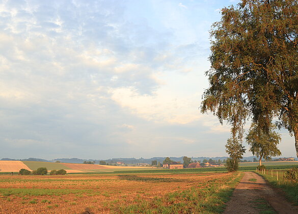 Die Landschaft wird  durch die Sonne kurz erhellt