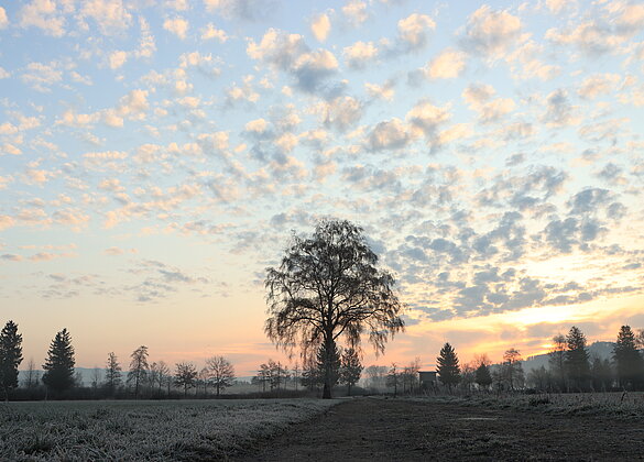 Morgenstimmung mit "Schöfliwolken"