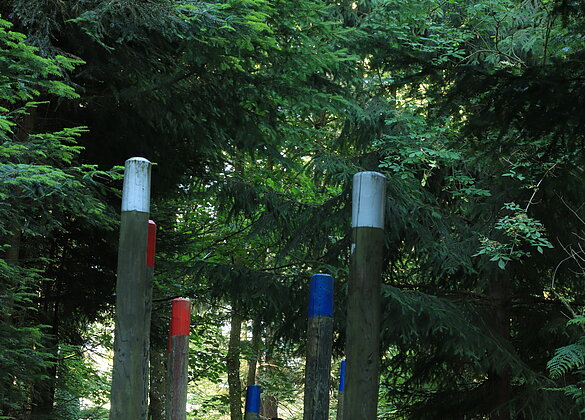 Morgens ist es im Wald noch angenehm