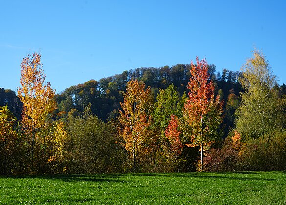 Herbstzauber an der Luthern in Niederwil bei Gettnau