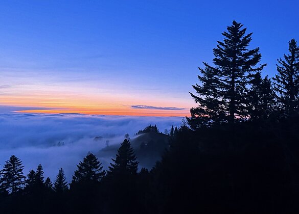 Ein Bild sagt mehr als tausend Worte!