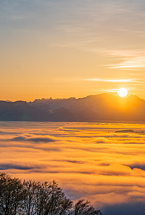 Wunderbarer Sonnenaufgang über dem Nebelmeer!