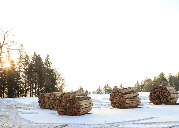 Winterzeit ist die Zeit zum Holzen