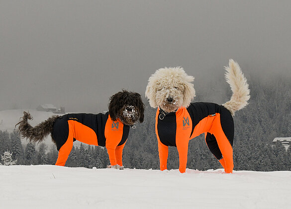 Babette und Dala im Renndress vom Berhard Russi 1972