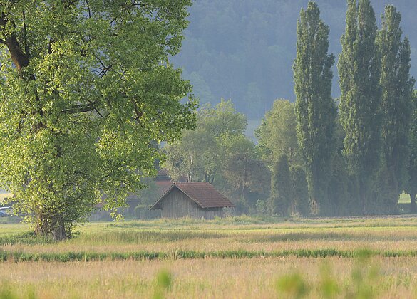 Unterwegs im Moos