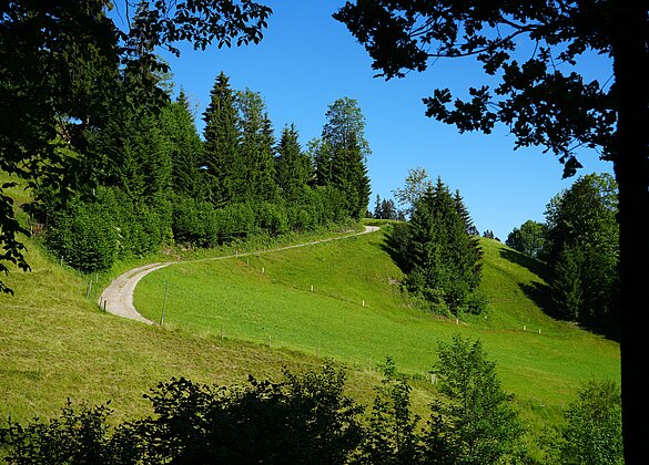 Herrliche Morgenstimmung in Luthern Bad