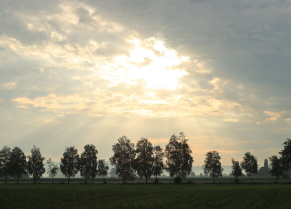Die Sonne strahlt bis zur Erde