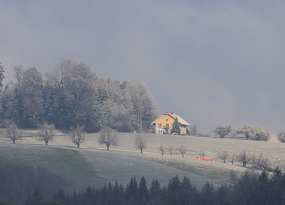 Über Nacht schneite es 