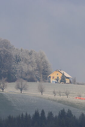 Über Nacht schneite es 