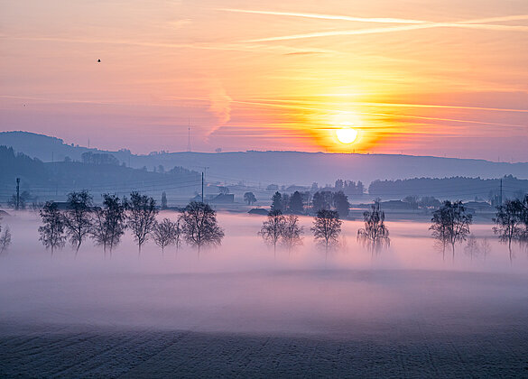 Frostig, Nebliger Sonnenaufgang!