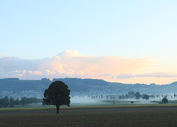 Morgenstimmung nach einem regnerischen Tag