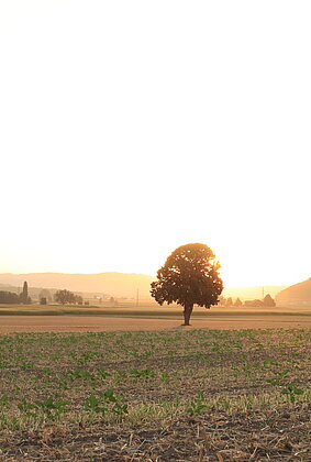 Erneut beginn ein heisser Tag