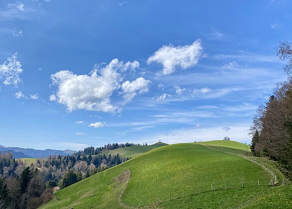 Ab Menzberg zum "Oberlehnhoger"